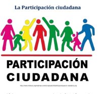 Comite provisional de Participacion Ciudadana Art 40